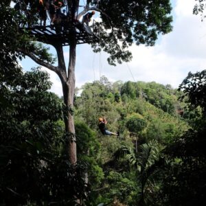 atv-paradise-zb-zipline-32-platforms