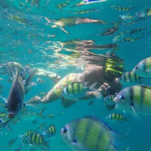 island-dream-exploration-phi-phi-islands-by-speed-boat-early-bird