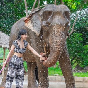 psecc-feed-and-rain-shower-with-elephants-duration-1-5-2-hours