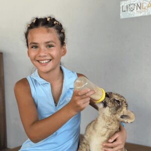 lion-land-combo-3-all-lion-sizes