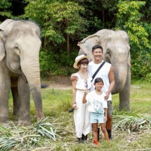 bep-mini-elephant-nature