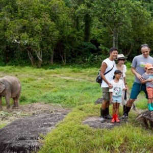 bep-mini-elephant-nature-2