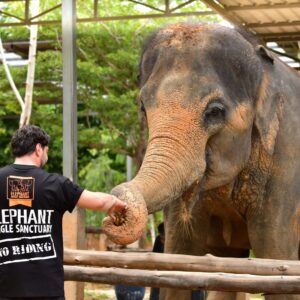 ejs-feed-and-shower