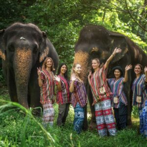 Walk With Elephant (One Day)