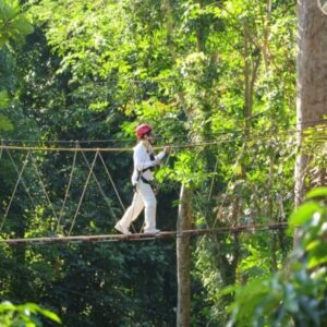 hw-luge-2-ridescombine-world-bzipline-18-platformsrollerskywalkmeal-at-wanon-zone