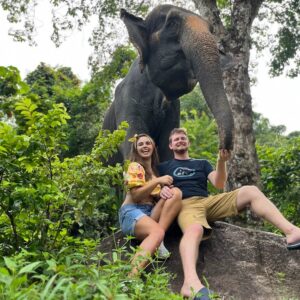 pec-feed-elephant